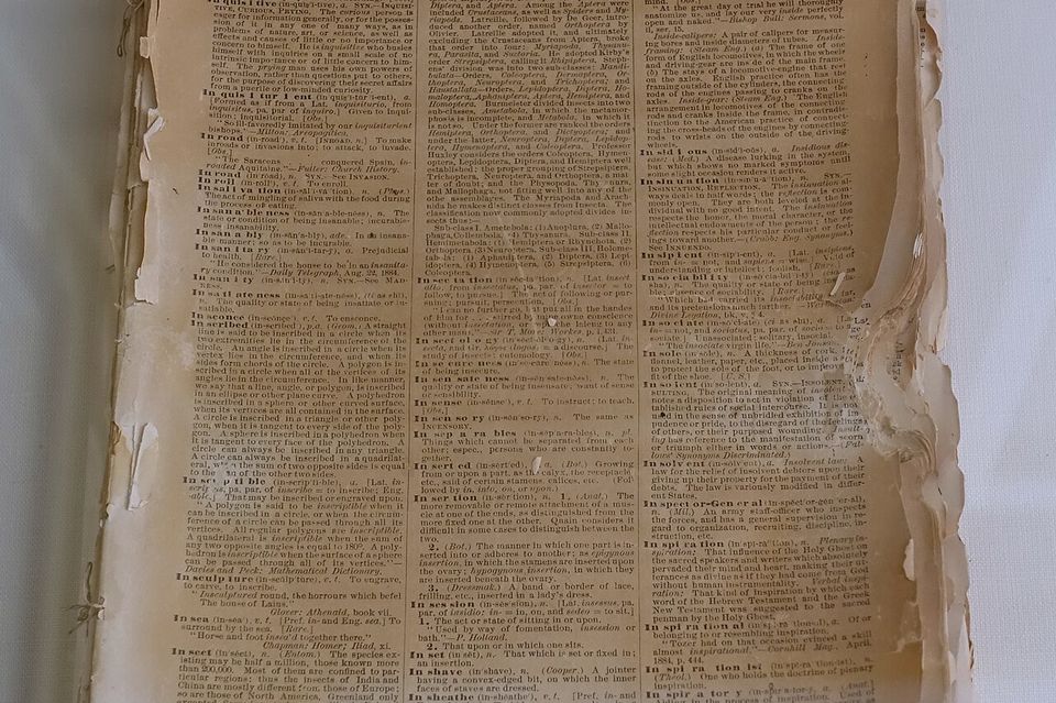 Pages of a Webster’s dictionary